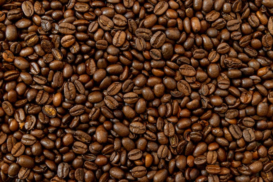 Tips for Brewing the Perfect Cup of Coffee with Premium Arabica Beans