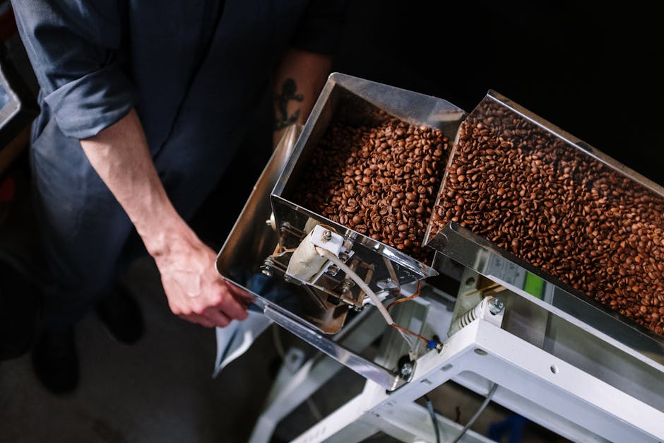 How to Store Fresh Roasted Beans for Maximum Freshness and Flavor