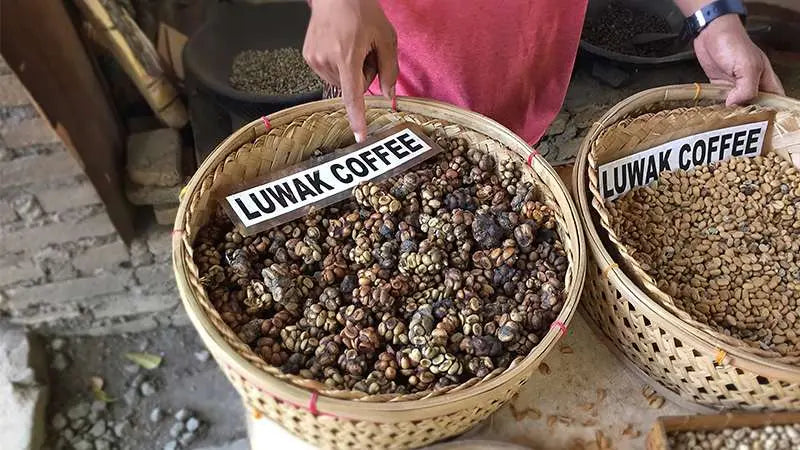 The Secret Behind Crafting Treasure Coffee: What Makes It Unique?