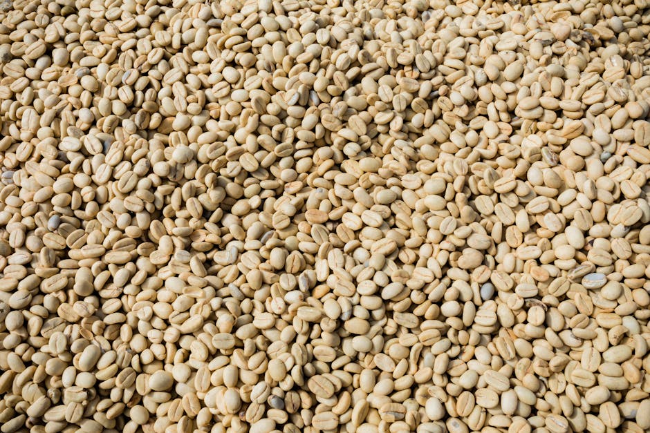 Exploring the World of Organic Coffee: Understanding Single Origin vs Blends