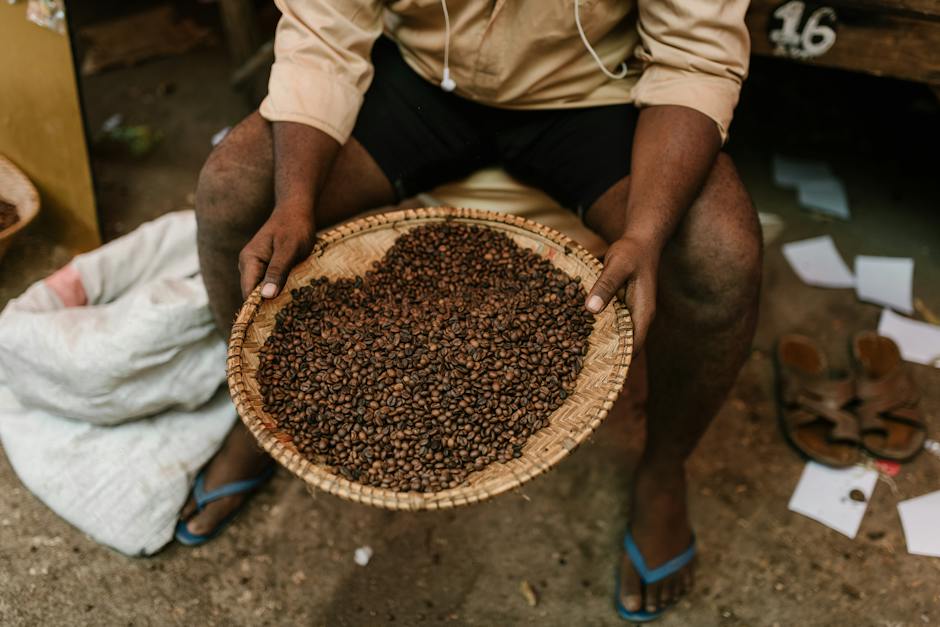 Discovering the Art and Tradition of Coffee Roasting